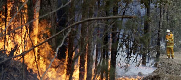 Пожарные службы привлекают большое количество добровольцев, но в этом году даже совместные усилия не могут пока переломить ситуацию - Sputnik Беларусь