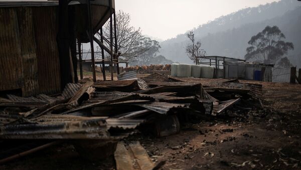 Ферма, пострадавшая от пожаров в Австралии  - Sputnik Беларусь