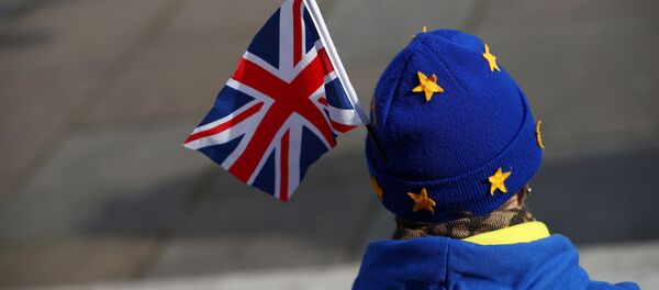 Протестующий на демонстрации в Лондоне - Sputnik Беларусь