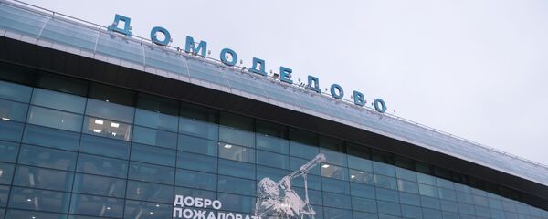 Пассажиры у терминала аэропорта Домодедово - Sputnik Беларусь