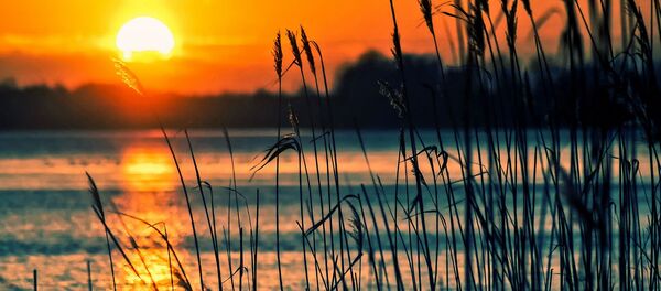 Озеро, архивное фото - Sputnik Беларусь