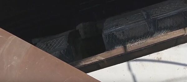 Алеся готова к прокладке нового тоннеля 3-й линии метро - Sputnik Беларусь