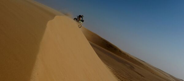 Эдвин Стравер на 10-м этапе Дакара Эдвин Стравер на 10-м этапе Дакара - Sputnik Беларусь