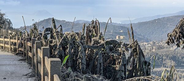 Последствия извержения вулкана Тааль - Sputnik Беларусь