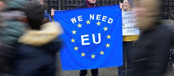 Сторонники ЕС возле здания парламента в Лондоне, 22 января 2020 года - Sputnik Беларусь