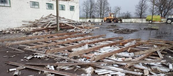 Последствия сильного ветра в Гродненской области - Sputnik Беларусь