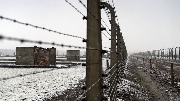 Ограда в концлагере Освенцим, архивное фото - Sputnik Беларусь