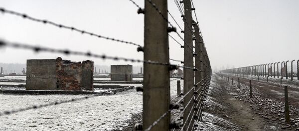 Ограда в концлагере Освенцим, архивное фото - Sputnik Беларусь