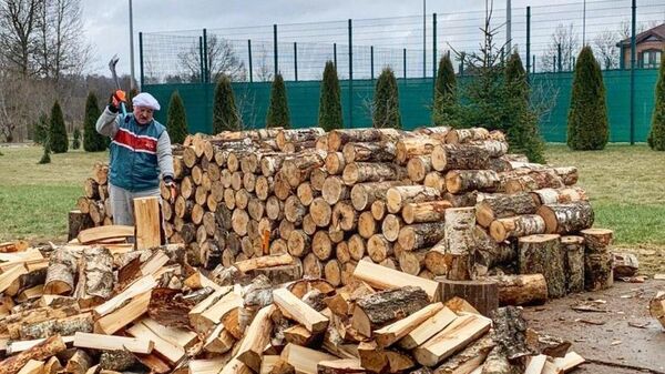Александр Лукашенко колет дрова на родине, в Александрии - Sputnik Беларусь