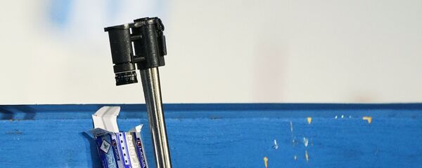 Винтовка биатлониста, архивное фото - Sputnik Беларусь