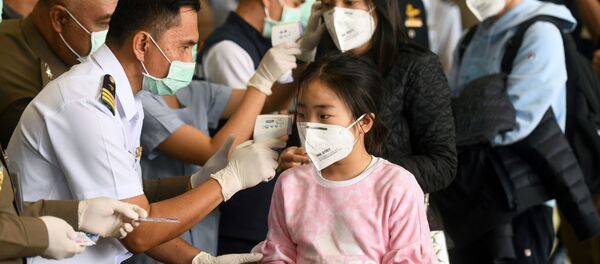 Проверка пассажиров в аэропорту Таиланда - Sputnik Беларусь