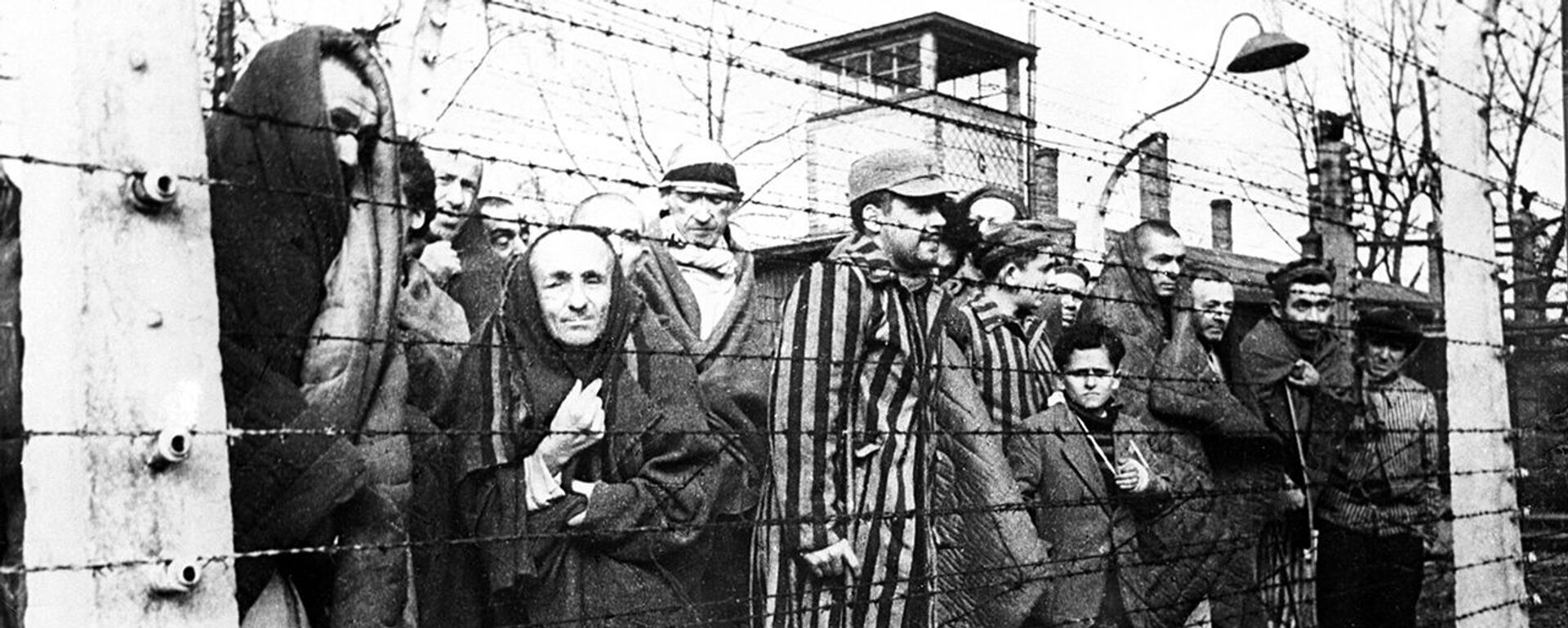 Холокост означает всесожжение: почему катастрофа стала возможной - Sputnik Беларусь, 1920, 27.01.2021
