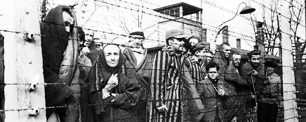 Холокост означает всесожжение: почему катастрофа стала возможной - Sputnik Беларусь