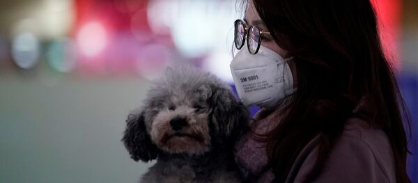 Девушка в Китае Девушка в Китае - Sputnik Беларусь