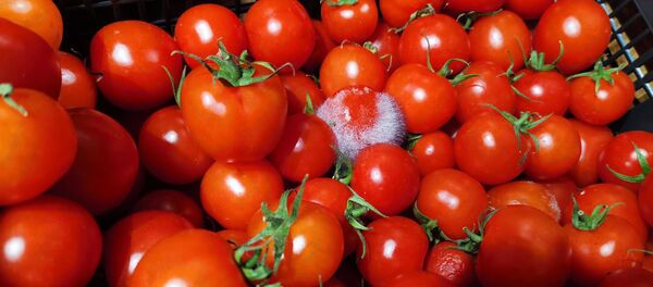 Проводить сортироваку товара и убирать подгнившие плоды в гипермаркетах не спешат - как будто надеются, что кто-то со слепу купит - Sputnik Беларусь