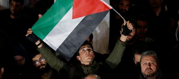 Протесты против предложенного президентом США Дональдом Трампом ближневосточного мирного плана Протесты против предложенного президентом США Дональдом Трампом ближневосточного мирного плана - Sputnik Беларусь