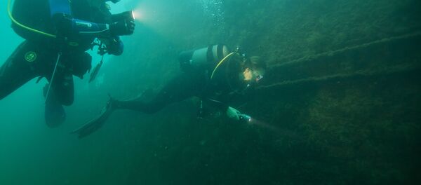 Подводный мир - Sputnik Беларусь