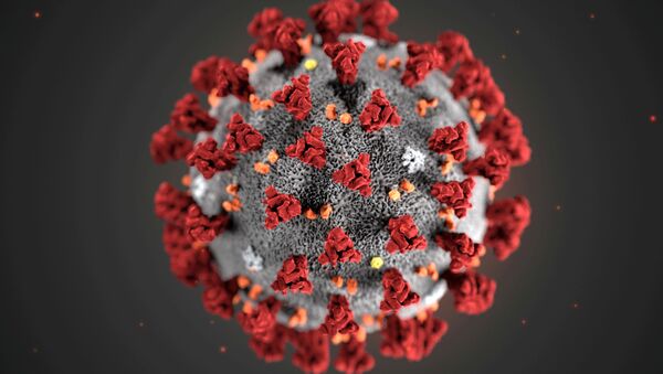 Модель коронавируса 2019-nCoV, ставшего причиной вспышки заболевания в Ухане, Китай - Sputnik Беларусь