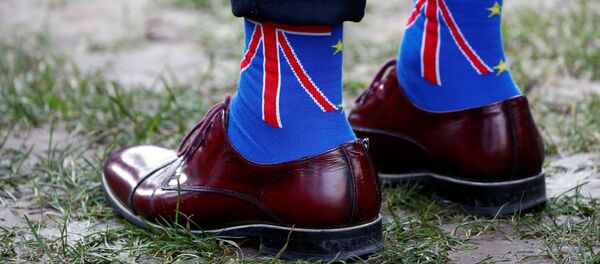 Последние четыре года британское общество было максимально политизировано - Sputnik Беларусь