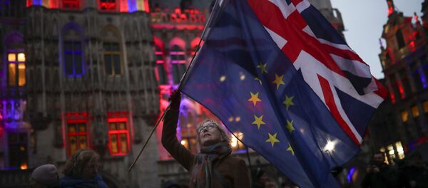 Накануне в Брюсселе прошел митинг с призывом к британцам не покидать Евросоюз Накануне в Брюсселе прошел митинг с призывом к британцам не покидать Евросоюз - Sputnik Беларусь