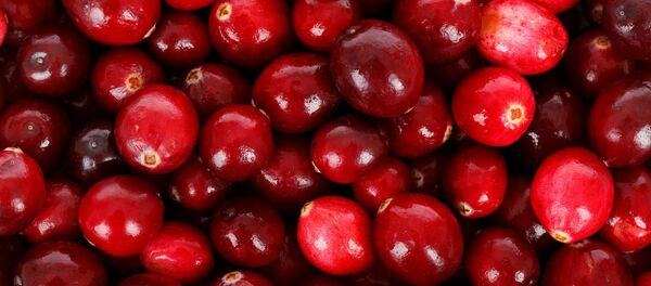 Клюква, архивное фото - Sputnik Беларусь