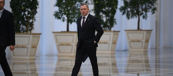 Глава МИД Беларуси Владимир Макей Глава МИД Беларуси Владимир Макей - Sputnik Беларусь