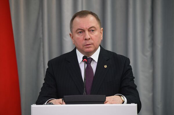 Макей: мы приветствовали бы более активную роль США в Беларуси  - Sputnik Беларусь