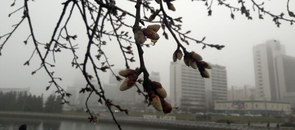 Анамальна цёплая зіма ў Беларусі: люты пачаўся з тэмпературных рэкордаў Анамальна цёплая зіма ў Беларусі: люты пачаўся з тэмпературных рэкордаў - Sputnik Беларусь