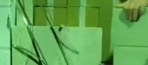 Крупная партия контрабандных сигарет обнаружена на белорусско-украинской границе - Sputnik Беларусь