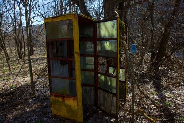 Телефонная будка на одной из улиц города Припять. - Sputnik Беларусь