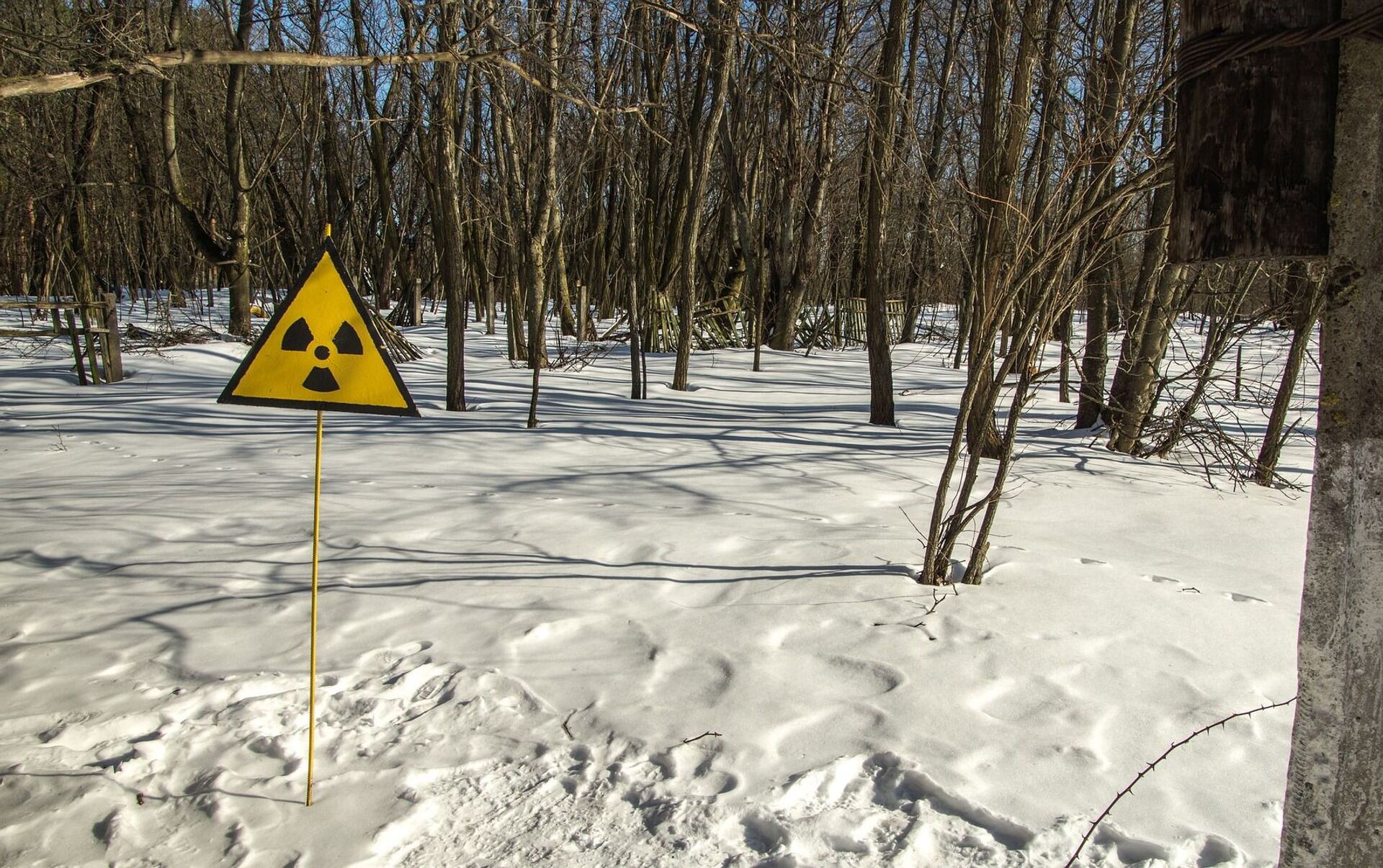 Хабаровск радиация. Радиоактивный снег. Радиационная зима. Радиоактивная зима. Радиоактивная зима лес.
