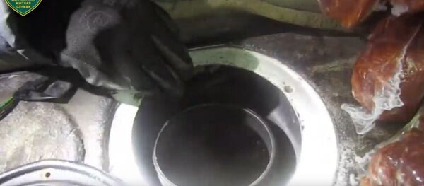 Таможенники показали, сколько мяса и бритв влазит в топливный бак - Sputnik Беларусь