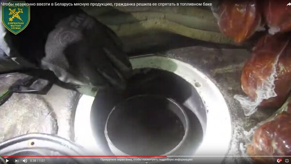 Таможенники показали, сколько мяса и бритв влазит в топливный бак - Sputnik Беларусь