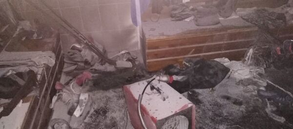 В Бресте спасатели ликвидировали пожар в ледовом дворце - Sputnik Беларусь