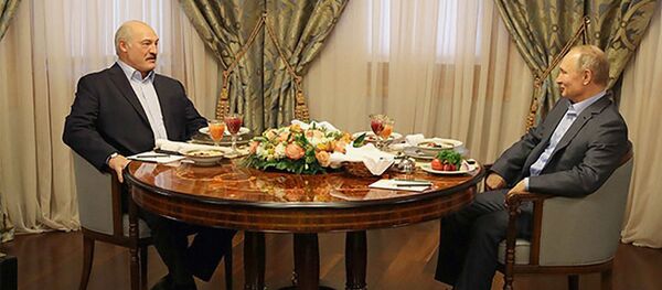 Президенты Беларуси и России Александр Лукашенко и Владимир Путин проводят встречу в сочинской Красной Поляне в доме приемов официальных делегаций Лаура - Sputnik Беларусь