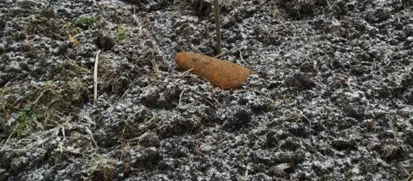 Сельчанин нашел на поле в Столинском районе снаряд времен ВОВ  - Sputnik Беларусь