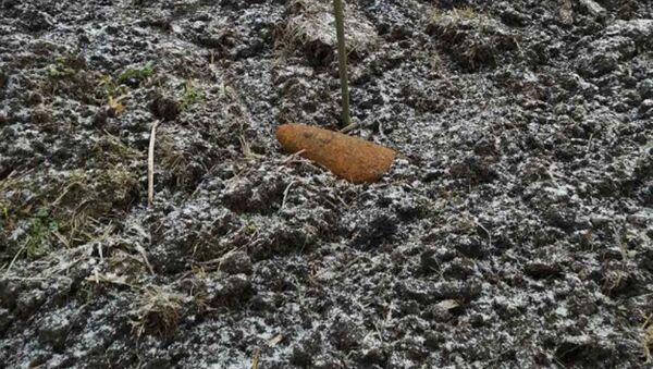 Сельчанин нашел на поле в Столинском районе снаряд времен ВОВ  - Sputnik Беларусь