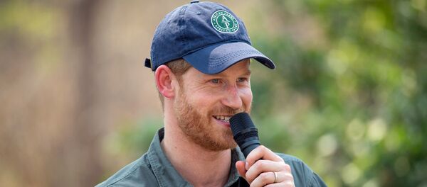 Принц Гарри, архивное фото - Sputnik Беларусь