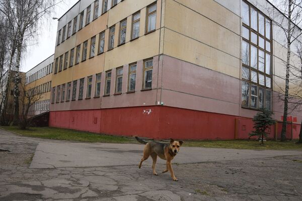 Миллион за нерешительность? Как бездумно тратятся государственные деньги - Sputnik Беларусь