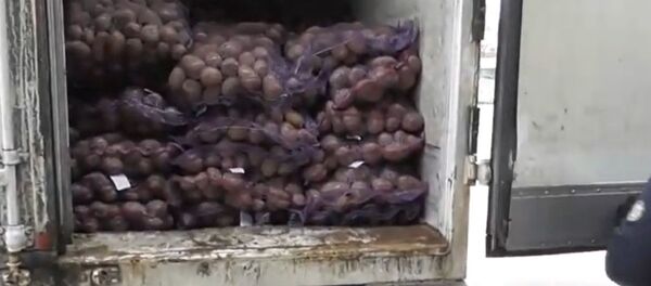 Белорусскими таможенниками на границе с Украиной выявлена крупная партия сигарет, скрытых под картофелем - Sputnik Беларусь