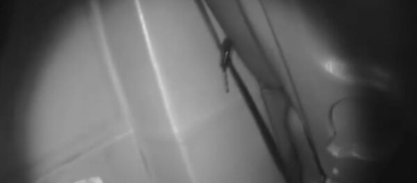 Более 400 кг сухофруктов пытался ввезти на территорию ЕАЭС гражданин Молдовы Более 400 кг сухофруктов пытался ввезти на территорию ЕАЭС гражданин Молдовы - Sputnik Беларусь