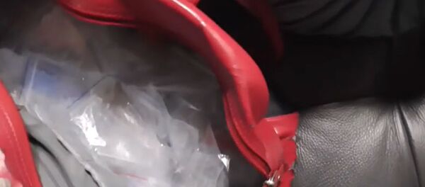 Пограничники пресекли канал поставки наркотиков, предназначенных для продажи в интернете - Sputnik Беларусь