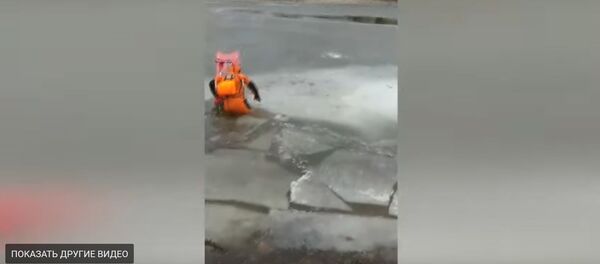 МЧС показало, как вытаскивали провалившуюся под лед собаку - Sputnik Беларусь