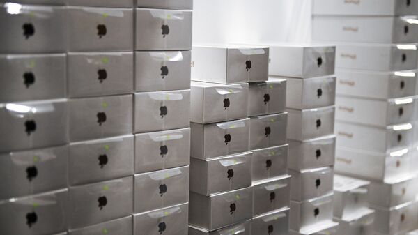 Коробки со смартфонами Apple, архивное фото - Sputnik Беларусь