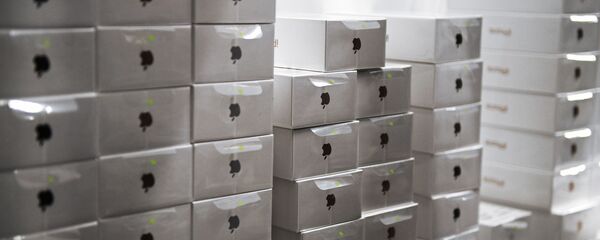 Коробки со смартфонами Apple, архивное фото - Sputnik Беларусь