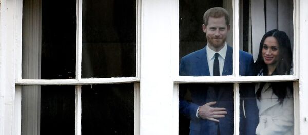 Портрет принца Гарри и Меган Маркл - Sputnik Беларусь
