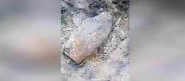 Саперы обезвредили немецкие авиабомбы в Барановичском районе  - Sputnik Беларусь