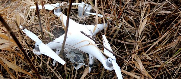 Найденный дрон - Sputnik Беларусь