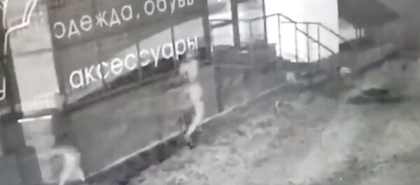  В Молодечно двое злоумышленников напали на работника магазина и похитили выручку - Sputnik Беларусь