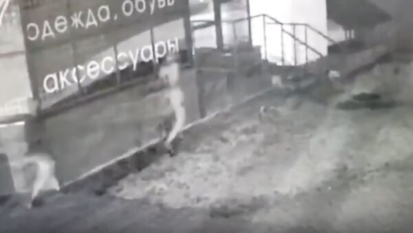  В Молодечно двое злоумышленников напали на работника магазина и похитили выручку - Sputnik Беларусь